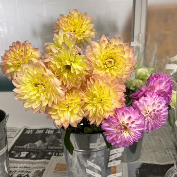 私の花生活主催 黒川千代のガラスシートの花器　半日セミナー開催_d0238101_18444838.jpg