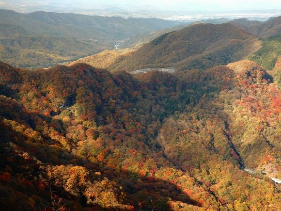 晩秋の荒船山。_b0050067_23470429.jpg