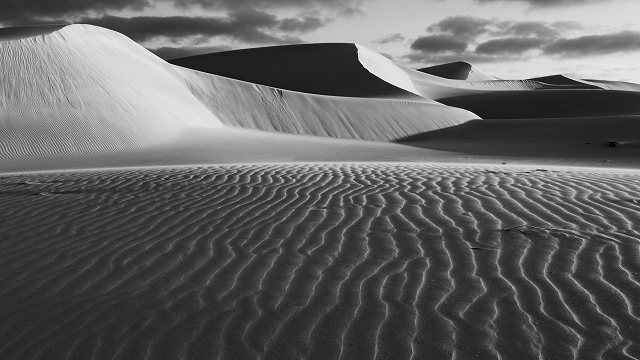 Dune  Eucla　　Western Australia　_f0050534_08444277.jpg