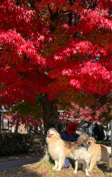 紅葉狩♪_f0109202_12281258.jpg