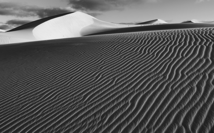 　Dune,s  Eucla_f0050534_07303007.jpg