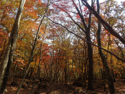 分刻みの由布岳登山（大分県由布市）_d0182075_02124455.jpg