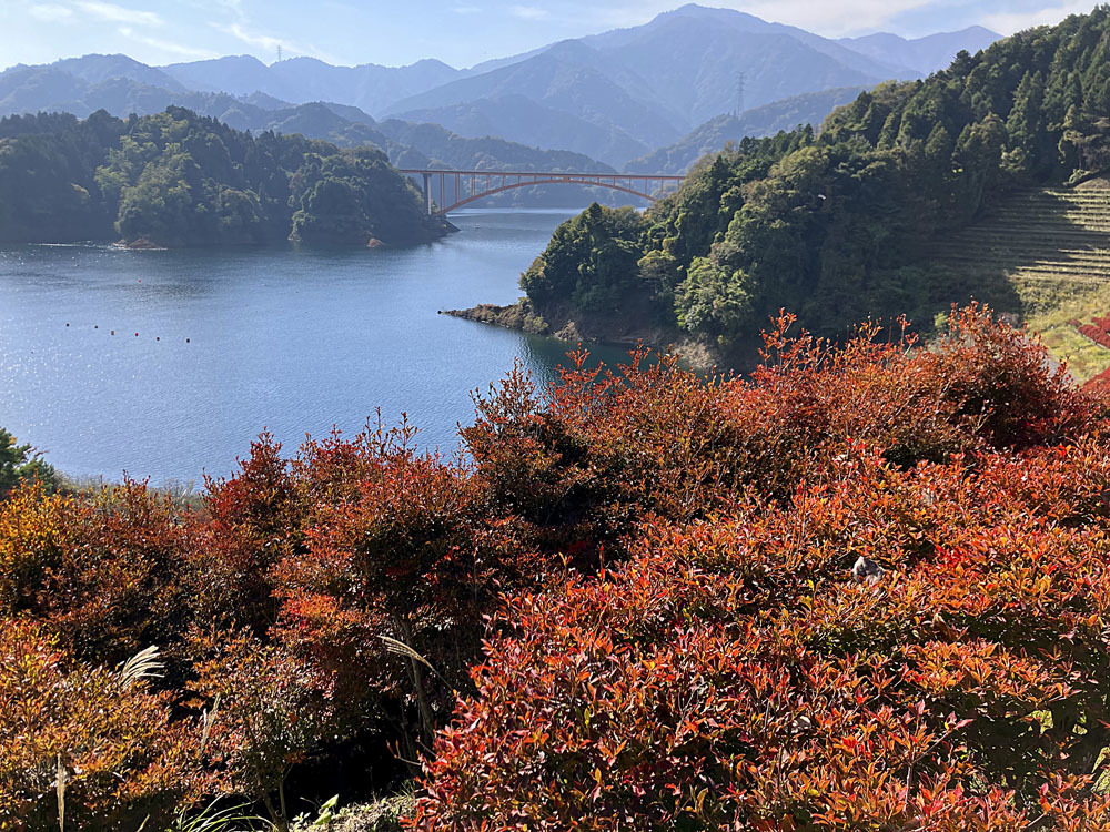 宮ケ瀬湖の秋＆横浜散策‼_e0367330_17082957.jpg