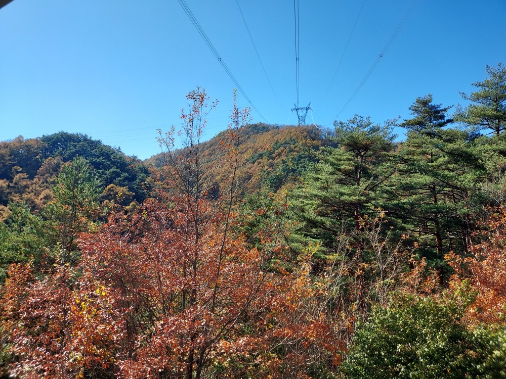 霧訪山（きりとうやま）登山_b0112186_22241388.jpg