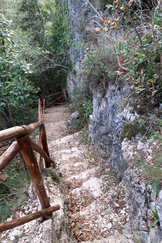 スズメバチに阻まれ川を渡れず再び紅葉の岩山登り、ピオーラコ Sentiero Li Vurgacci 2_f0234936_06274264.jpg