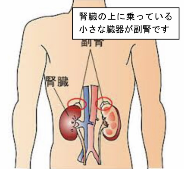 定期検診11月「一向に良くなっていない」_b0095299_22443493.jpeg