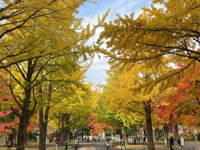 2023年10月、11月 『街の紅葉』　October & November 2023 \"Autumn Color in the Town\"_c0219616_11151541.jpg