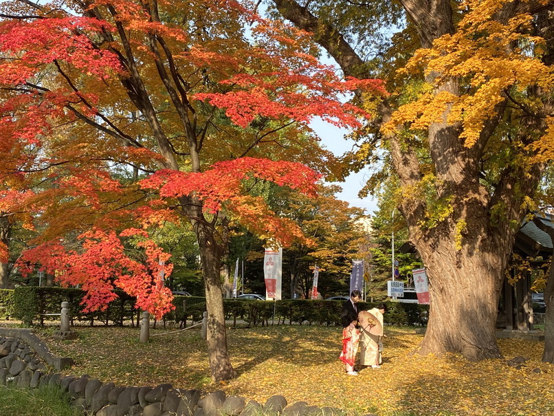 2023年10月、11月 『街の紅葉』　October & November 2023 \"Autumn Color in the Town\"_c0219616_11185738.jpg