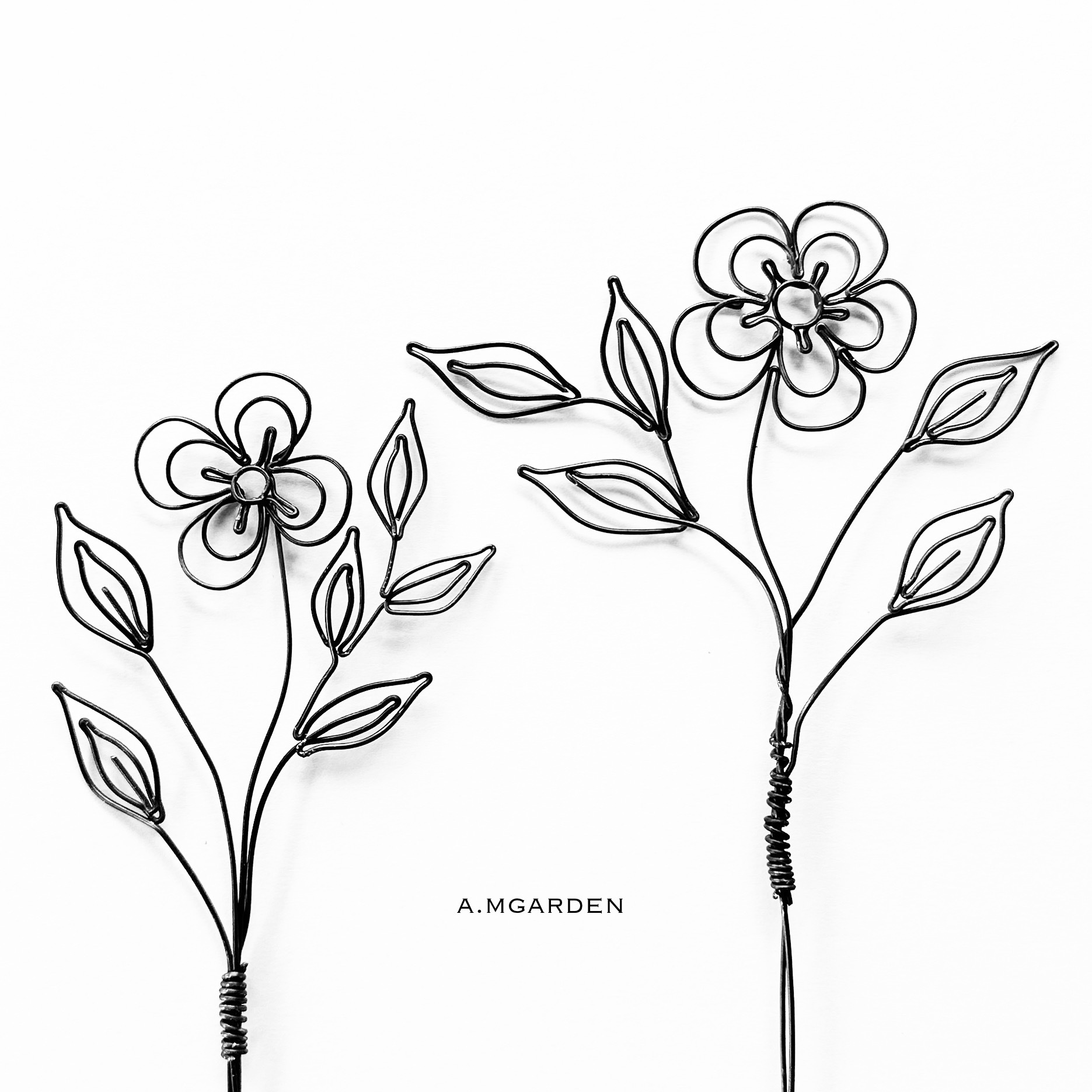 botanical wire art。_b0125443_16484029.jpeg