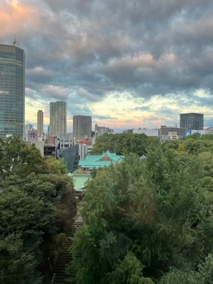 日枝神社のお側・・・_f0163129_16395633.jpeg