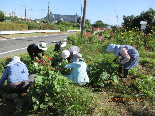 10月1回目定例会_d0257693_07573262.jpg