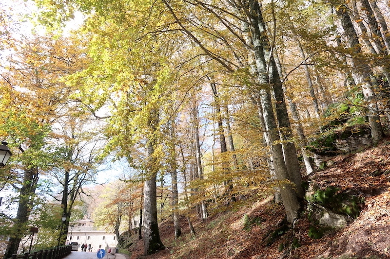 黄葉の美しいラヴェル修道院で昼食 散歩の前に_f0234936_06043677.jpg