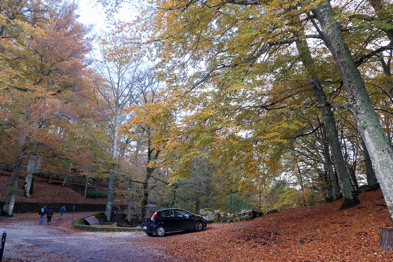 黄葉の美しいラヴェル修道院で昼食 散歩の前に_f0234936_06080507.jpg