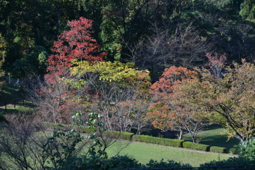 奥卯辰山健民公園2_c0093046_19582615.jpg