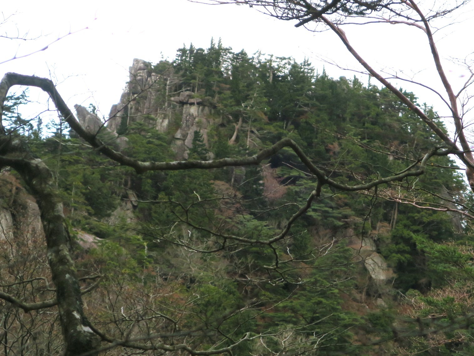 小池宿・池郷川源流・千手岳 周遊（大峰山脈）_a0286351_21215839.jpg