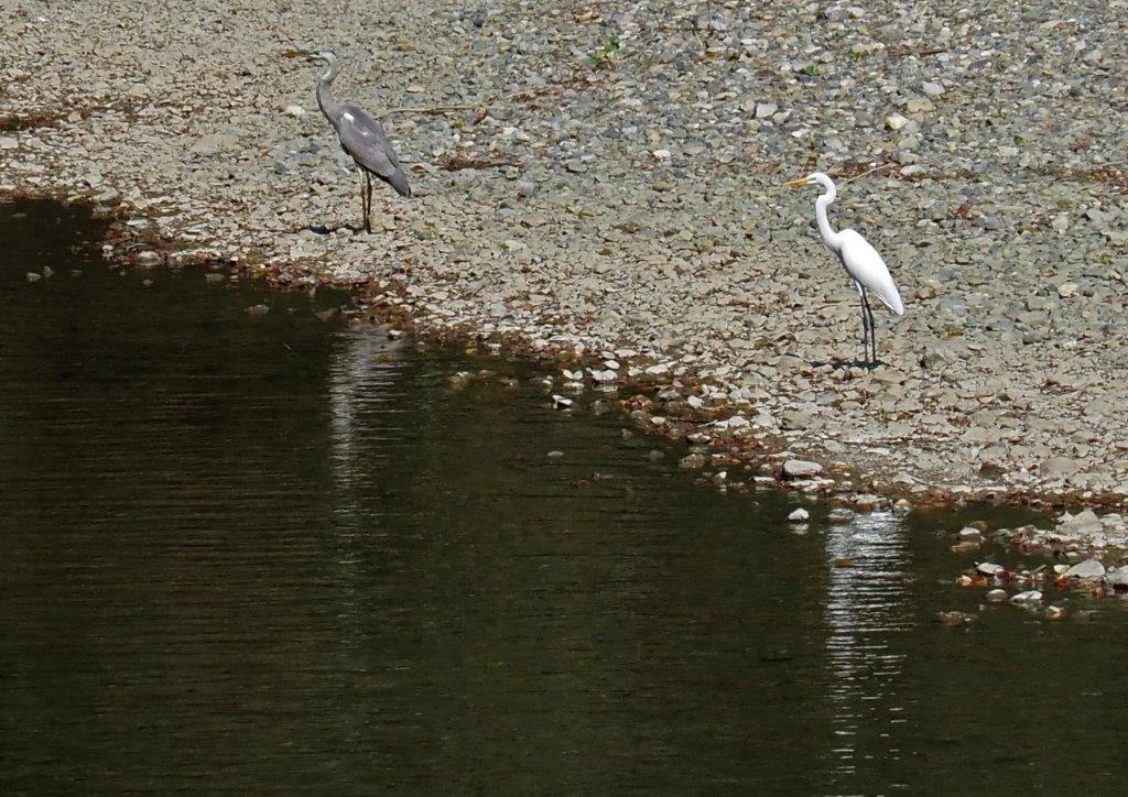 2023年９月　伊良湖岬、鳥羽・伊勢、犬山の旅（その３）_c0094546_10190341.jpg