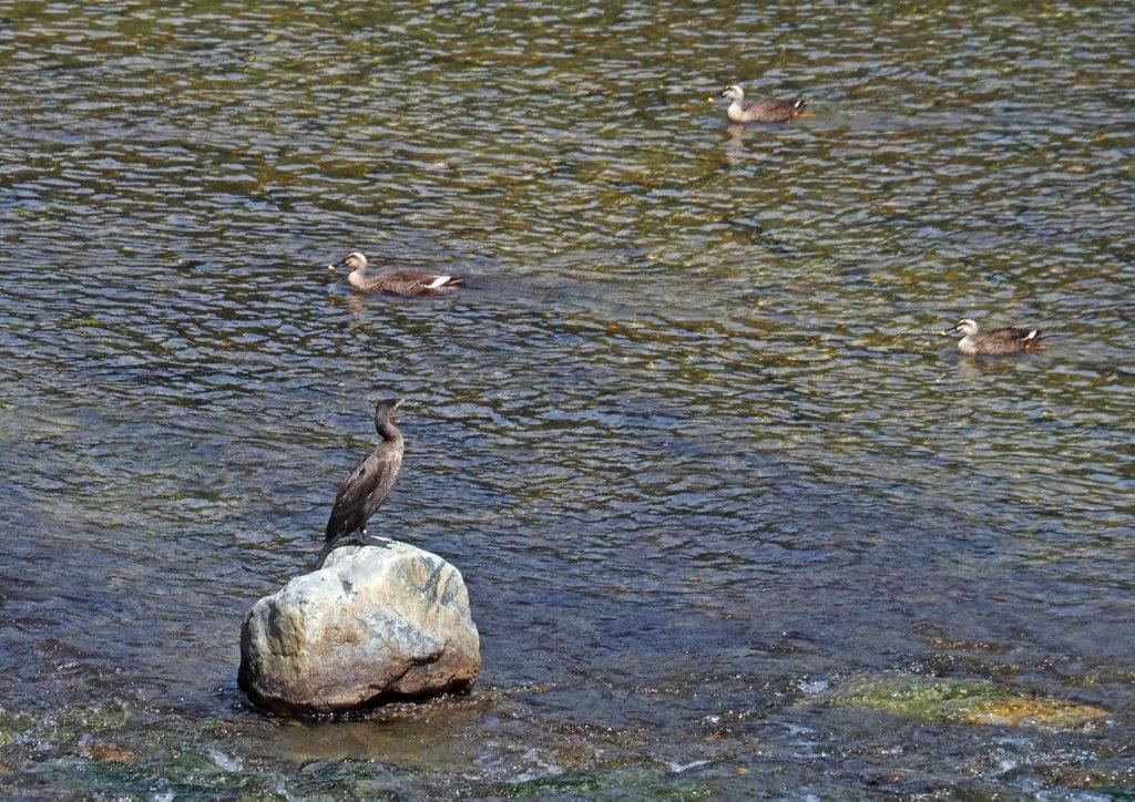 2023年９月　伊良湖岬、鳥羽・伊勢、犬山の旅（その３）_c0094546_10201982.jpg