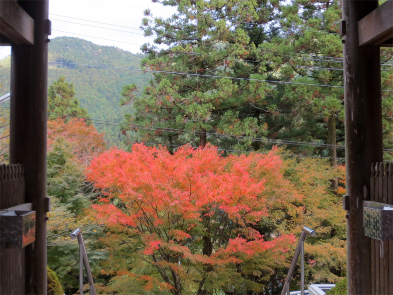  ■船越の牡蠣小屋〜雷山観音紅葉探訪、そして週替わりの夕暮れ［11/16・18・19］_d0190217_22323972.jpg