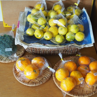 冬の柑橘と春の花_b0206421_12385601.jpg