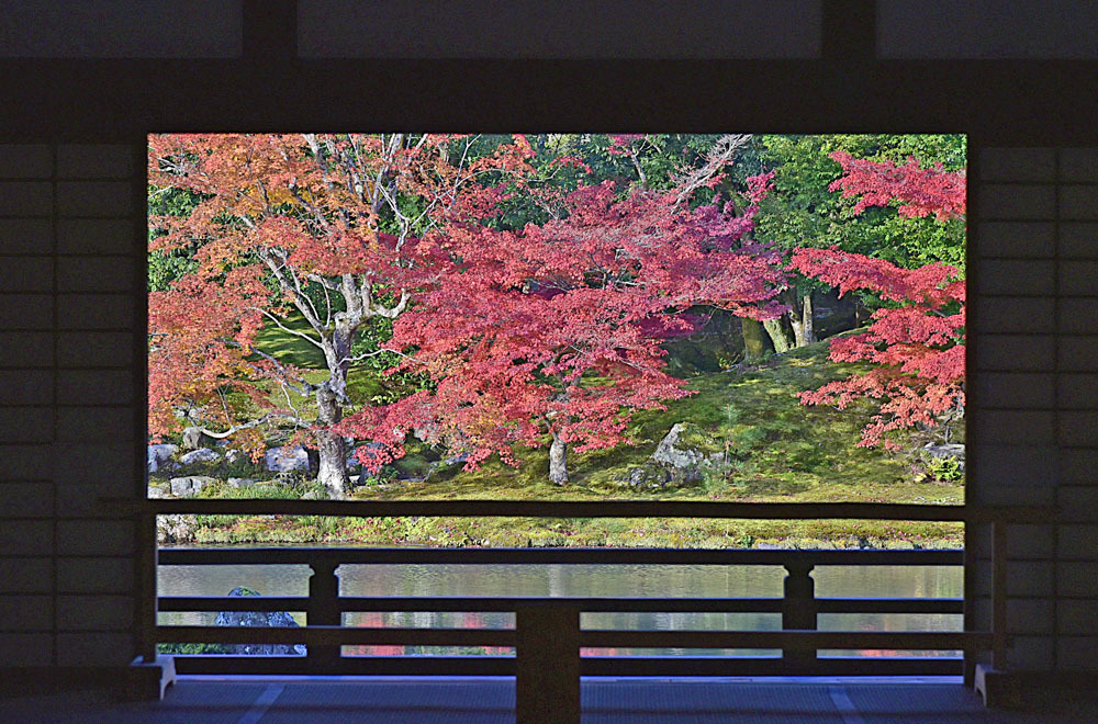 2014年・京都の紅葉の想い出Ⅱ(17:33追加文あり）+11月21版_e0367330_11305504.jpg