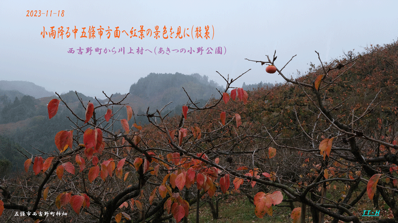 2023-11-18-（土）小雨降る中 五條方面へ紅葉の景色を見に（散策）西吉野町から川上村へ（あきつの小野公園）_a0216227_20094020.gif