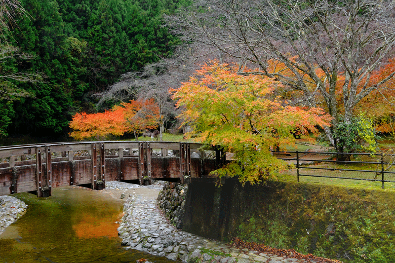 2023-11-18-（土）小雨降る中 五條方面へ紅葉の景色を見に（散策）西吉野町から川上村へ（あきつの小野公園）_a0216227_21362223.gif