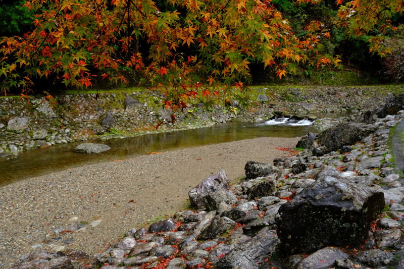 2023-11-18-（土）小雨降る中 五條方面へ紅葉の景色を見に（散策）西吉野町から川上村へ（あきつの小野公園）_a0216227_21525018.gif