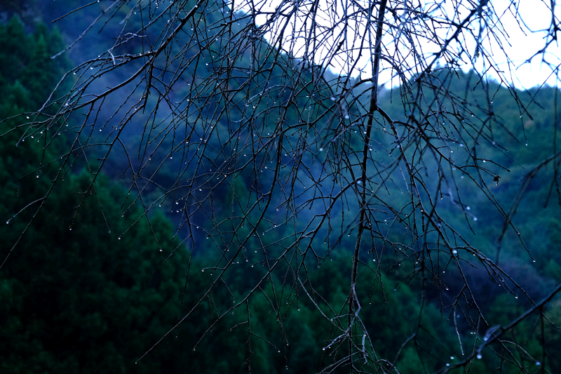 2023-11-18-（土）小雨降る中 五條方面へ紅葉の景色を見に（散策）西吉野町から川上村へ（あきつの小野公園）_a0216227_22092613.gif