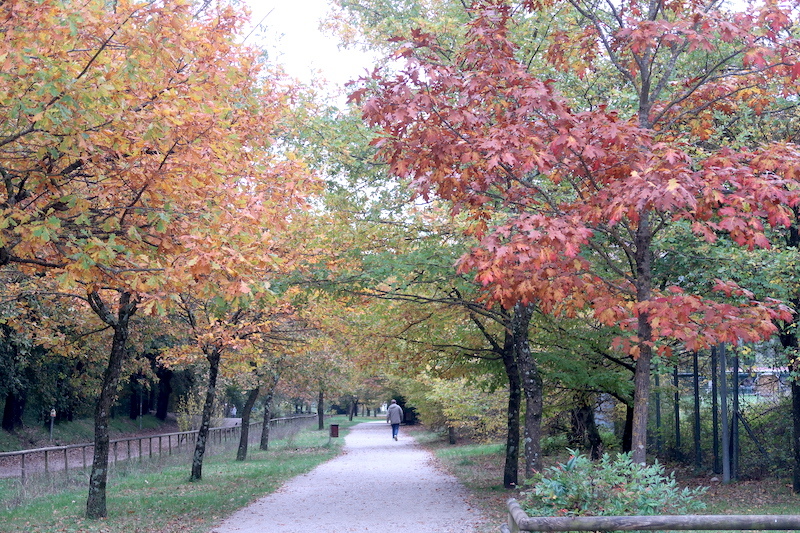 紅葉を励みに歩く曇天のペルージャ散歩道_f0234936_23233654.jpg