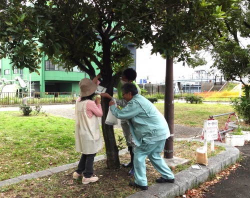 港保育園の子ども達と大手銀杏の会の皆さんとの花の植替R5.11.7_d0338682_09560255.jpg