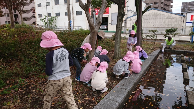 港保育園の子ども達と大手銀杏の会の皆さんとの花の植替R5.11.7_d0338682_09582849.jpg