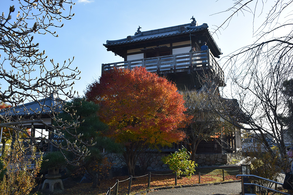 紅葉が美しい摂津池田城逍遥_e0158128_22420158.jpg