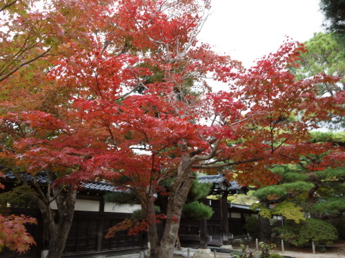 西の京アート紀行　①　毛利博物館_b0327750_11583299.jpg