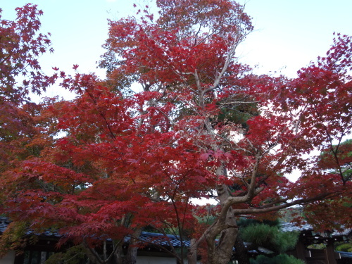 西の京アート紀行　①　毛利博物館_b0327750_12014688.jpg