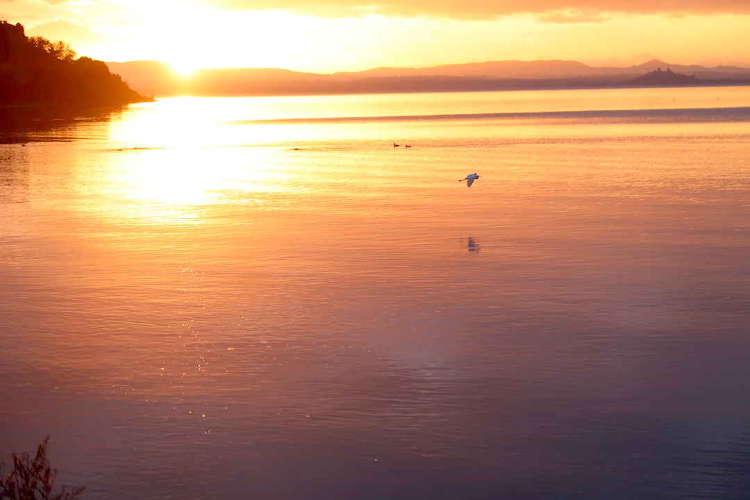 桃色の夕焼けもきれい黄葉のトラジメーノ湖_f0234936_22435739.jpg