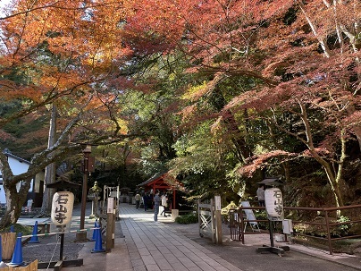 石山寺　紅葉　御朱印　11月22日　_d0341582_17002397.jpg