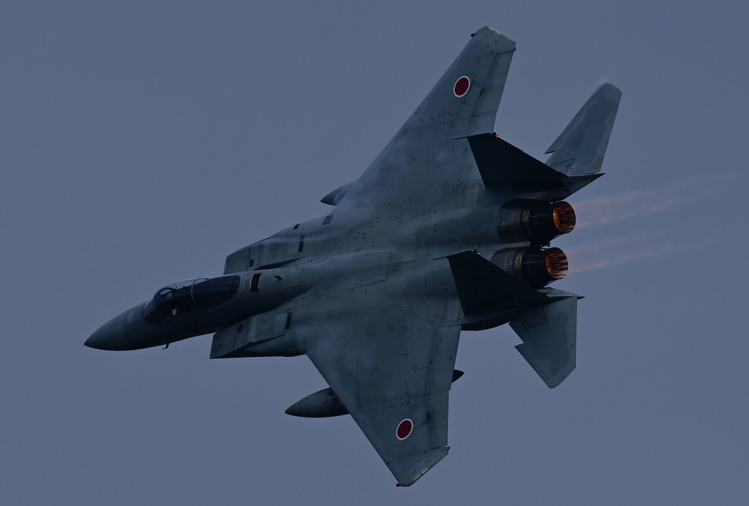 2023/11/12 岐阜基地航空祭_c0250390_09134498.jpg