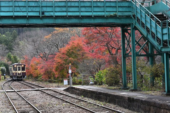 わたらせ渓谷鉄道_d0117926_22284773.jpg