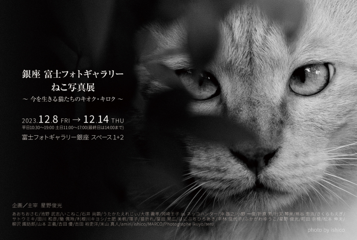 銀座富士フォトギャラリーねこ写真展　～今を生きる猫たちのキオク・キロク～_c0194541_19075880.jpg