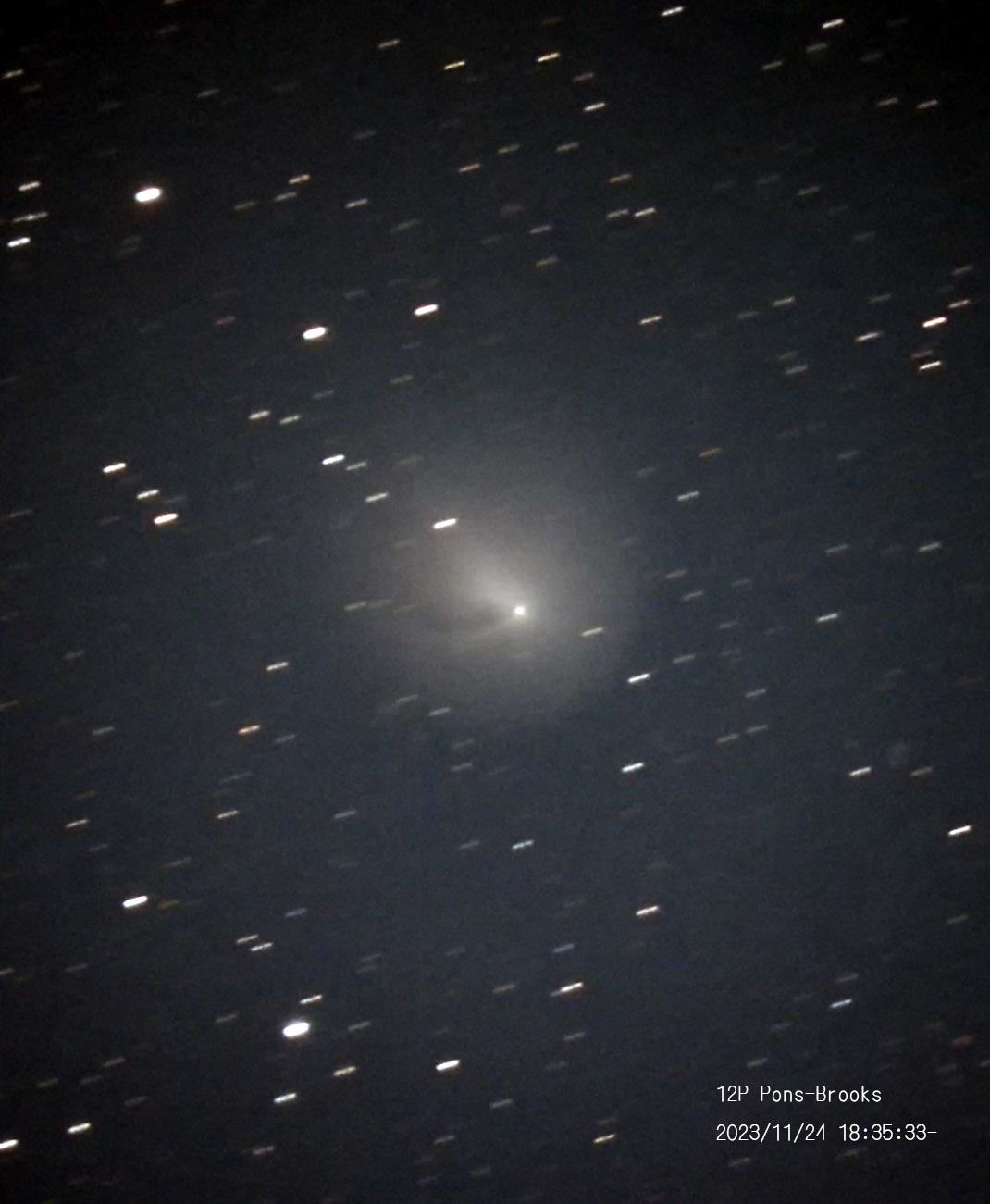 11月24日の彗星ふたつ_e0174091_23222499.jpg