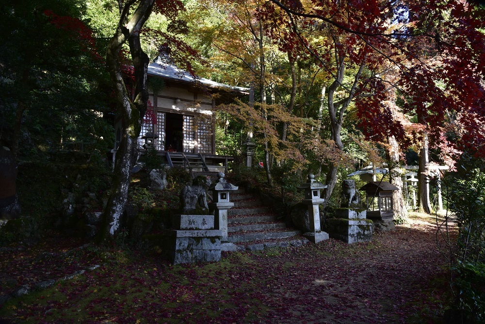 まだまだミニノートは頑張りますⅡ≪11月6日早朝の追加文あり）_e0367330_10445907.jpg