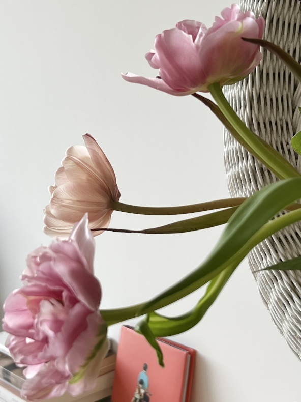 チューリップとクレマチスのブーケ　11月の花をムッシュー・ル・フルリストで購入_a0231632_01102812.jpeg