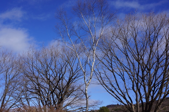 榛名山へ、今年最後の紅葉を見に行く_a0129636_15081002.jpg