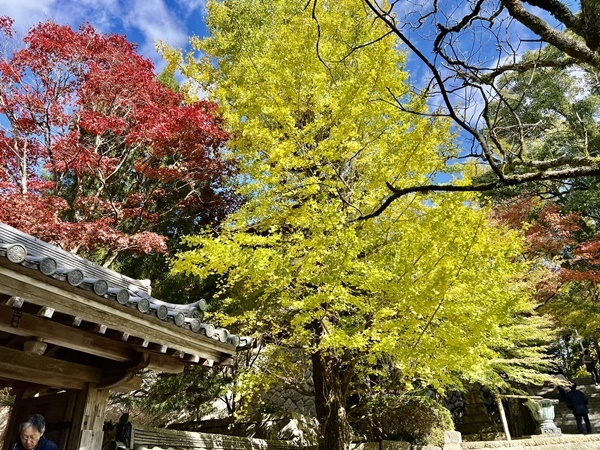 播州清水寺_d0111558_17175588.jpeg