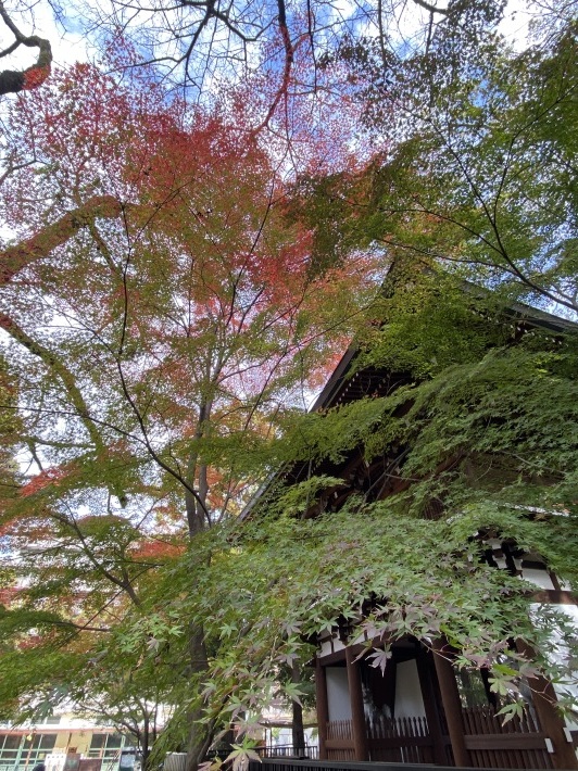 秋の小旅行～JR北小金～東漸寺、本土寺_f0034334_15101253.jpg