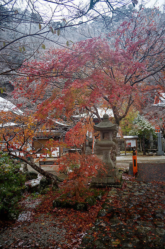 2023年奈良の紅葉&初雪＠龍泉寺_f0032011_19142038.jpg