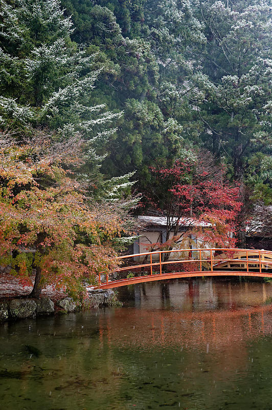 2023年奈良の紅葉&初雪＠龍泉寺_f0032011_19142059.jpg