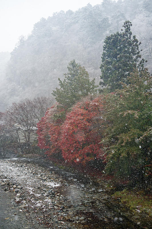 2023年奈良の紅葉&初雪＠龍泉寺_f0032011_19173851.jpg