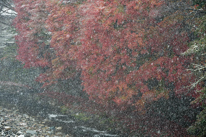 2023年奈良の紅葉&初雪＠龍泉寺_f0032011_19173892.jpg
