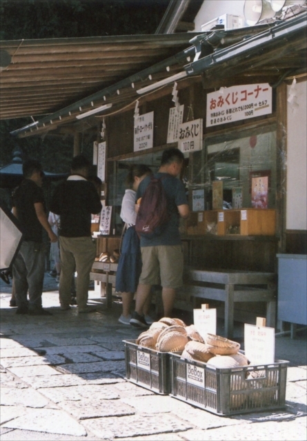 真夏の鎌倉遠足　２_c0082066_00085563.jpg